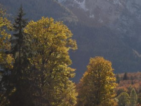 Mein Orlando unterm Watzmann