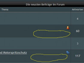 Fehlende Seitenanzahl.